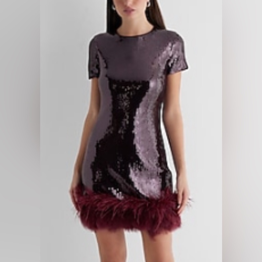 NWT Gorgeous Express Sequin Crew Neck Feather Hem Mini Dress